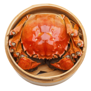 【活蟹】漁家师傅大闸蟹 全公4.5-4.8两8只 去绳足重 螃蟹鲜活生鲜河蟹实物水产礼盒