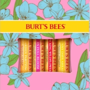 Burt's Bees 伯特 小蜜蜂唇膏4支礼盒装 4.25g*4支