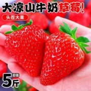 GREER 绿行者 沙瓤生吃西红柿 2.5kg 中果