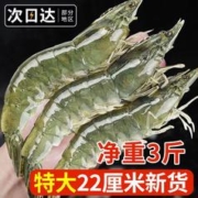 大黄鲜森 3斤2030北海大虾超大号国产基围虾新鲜冷冻