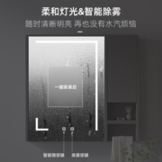 帝王洁具（monarch）轻奢岩板浴室柜组合智能灯镜一键除雾洗脸盆卫浴柜洗漱台【悦简】 智能镜柜【照明除雾】60CM