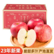 FUBAI COMPANY 富百果业 陕西红富士苹果 净重4.5-5斤（75-80mm）