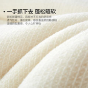 88VIP会员：BLISS 百丽丝 水星出品百丽丝家纺棉花被四季被冬被加厚冬被