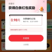 京东 11.11白条会场 领6/12期白条免息券/抽最高111.1元白条红包