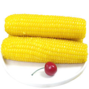 玉米神话 速冻黄糯2根 (500g)