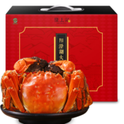 【活蟹】隆上记 大闸蟹 全公3.8-4.1两/只 8只 鲜活现货实物螃蟹礼盒