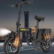 需首单礼金：PALLA 新大洲 新国标折叠电动车 TDT109Z 80km 八重减震 8A