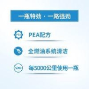 Chevron 雪佛龙 特劲TCP养护型汽油添加剂355ml+100ml单瓶组合装 汽车用品燃油宝