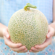 正宗海南网纹甜瓜蜜瓜 5斤(约2-3个)