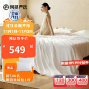 YANXUAN 网易严选 A类野蚕经典款 冬被 150*200cm（适合1.2m床）