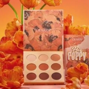 COLOURPOP 美国ColourPop罂粟眼影盘棕橘橙色风情哑光BigPoppy