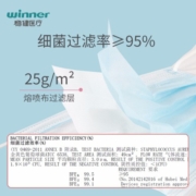 稳健成人医用口罩 医用外科口罩 一次性医用防细菌防飞沫口罩 成人口罩医用过滤细菌非灭菌外科口罩 1袋灭菌级【拍1发2到手20只】 10片/袋