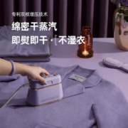 DAEWOO 大宇 手持挂烫机熨烫机便携式小型家用蒸汽电熨斗熨烫衣服
