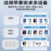 PISEN 品胜 5v1a充电器头usb-c多口2a插头双口安卓多功能一分二适用苹果