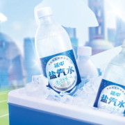 延中碳酸饮料盐汽水600ml*20瓶经典低热量补充体力解渴气泡水