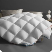 28日0点：BLISS 百丽丝 雅利诺鹅绒四季被 220cm×240cm