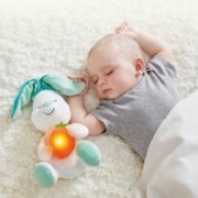 Hape E8460 安抚兔子 白色/混合色