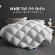 京东PLUS：BLISS 百丽丝 雅利诺混合羽绒冬被 220*240cm
