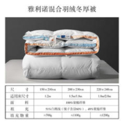 28日0点：BLISS 百丽丝 雅利诺白鹅绒冬被 200cm×230cm