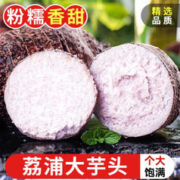 TANWEIJUN 探味君 广西荔浦大芋头 5斤 中芋（单果250g起）
