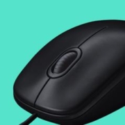 logitech 罗技 B100 有线鼠标 1000DPI 黑色