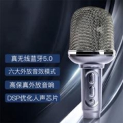 PHILIPS 飞利浦 DLM3016话筒音响一体麦克风全民k歌无线唱歌麦克风