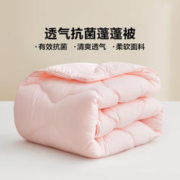 一夜入冬：LOVO 乐蜗家纺 纤维冬被 200*230cm