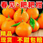 惜音 四川春见耙耙柑新鲜当季水果粑粑柑丑八怪桔橘子 精选粑粑柑8斤大果（75-80mm）