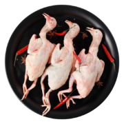 京东百亿补贴：乳鸽400g*3只 送料包+鲜参