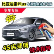 DIANBING 点缤 比亚迪秦plusdmi补漆笔时光灰色车漆划痕修复神器雪域白色自喷漆