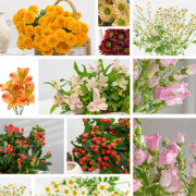 京东百亿补贴：京东鲜花 鲜花盲盒3束