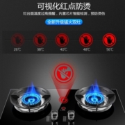 荣事达（Royalstar）燃气灶煤气灶双灶家用猛火天然气台式嵌入式两用灶具 大火力液化气炉具 【聚能环】五环猛火+防爆钢化玻璃（瓶装液化气）