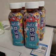 摇8下 [双十一特惠]摇8下烧仙草官方旗舰店288ml*6瓶植物萃取饮料即食
