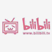 bilibili 哔哩哔哩 大会员年卡 12个月