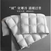 BLISS 百丽丝 雅利诺混合羽绒四季被 200*230cm