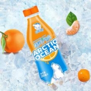 88VIP会员：北冰洋 桔汁汽水瓶装300ml*24瓶