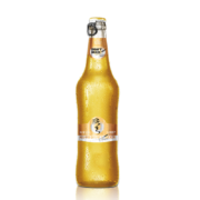 京东百亿补贴：PEARL RIVER 珠江啤酒 10度 珠江精品纯生啤酒 528ml*12瓶 整箱装