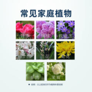 千百季 生根宝活力素生根液花卉通用型扦插水培多肉营养液移栽壮苗