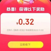 京东 11.11主会场 弹福袋领随机红包