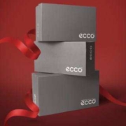 双11预告、10日20点：ecco 爱步 男鞋999元限量福袋（内含2双鞋