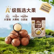 三只松鼠 量贩夏威夷果500g