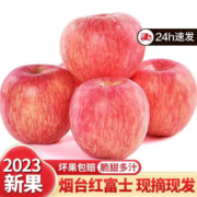 鲜合汇优 山东烟台栖霞红富士 净重4.5斤