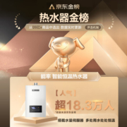 能率（NORITZ）燃气热水器16升 智能精控恒温 水量伺服器GQ-16E4AFEX(JSQ31-E4)天然气【金榜认证】