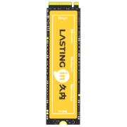 PLUS 会员：久内（LASTINGIN）固态硬盘M.2接口 1TB 3500M/S【TLC颗粒】