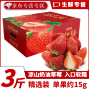 京东百亿补贴：三萌果蔬大凉山露天草莓 3斤 精选装 单果15g+礼盒装