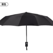 惠寻 16骨双龙骨全自动雨伞 藏青