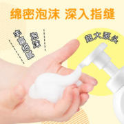 LION 狮王 泡沫抑菌洗手液