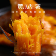 万果薯道 山东蜜薯 10斤