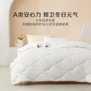 最后4小时、一夜入冬：BLISS 百丽丝 A类七孔透气纤维冬被 150*210cm