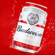 Budweiser 百威 拉格啤酒 经典醇正 255ml*12听 高端 mini罐 家庭聚会 啤酒整箱装